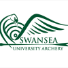 SWWU Leg 2 - Swansea