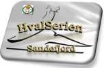 Finalen i HvalSerien