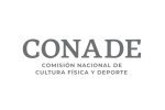 Proceso Selectivo Paralimpico 2026 | Titularidad