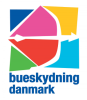 Efterårsstævne
