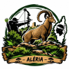 TIR 3D ALERIA 18.10.26
